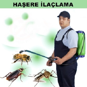 Çankaya Böcek İlaçlama